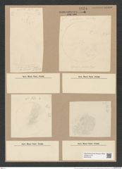Coscinodiscus symbolophorus Grun. (de-Toni-Nr.: Genus 202, Species 4938) Zeichnungen Sammlung Grunow Nr. 8524 (NHMW-BOT-W0378150)